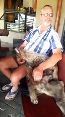 Kendini Kedi Sanan Sırtlan