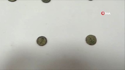 Diyarbakır'da Roma Dönemi'ne Ait Sikkeler Yakalandı