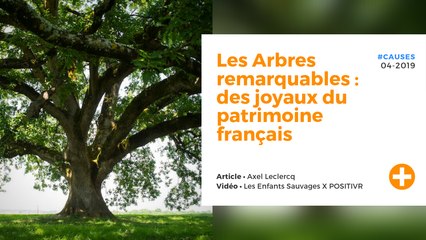 Les Arbres remarquables : des joyaux du patrimoine français