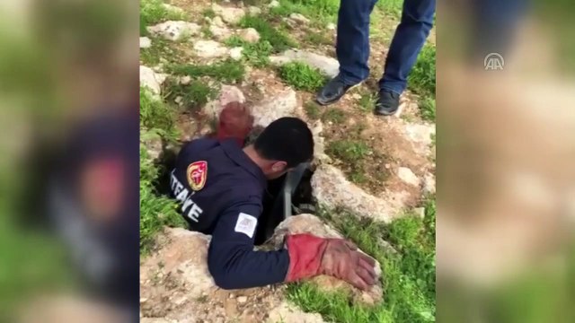 Kuyuda mahsur kalan köpek yavrusu itfaiye kurtardı - MARDİN