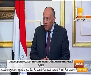 شكرى: القضية الفلسطينية كانت على رأس المباحثات مع لافروف