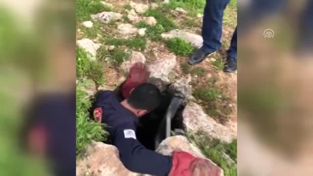 Kuyuda Mahsur Kalan Köpek Yavrusu İtfaiye Kurtardı
