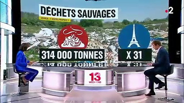 Environnement : déchets sauvages en France, un phénomène d'ampleur
