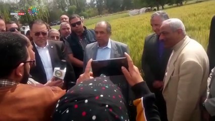 مزراع بالشرقية لوزير الزراعة : "سعر القمح عال وربنا يبارك"