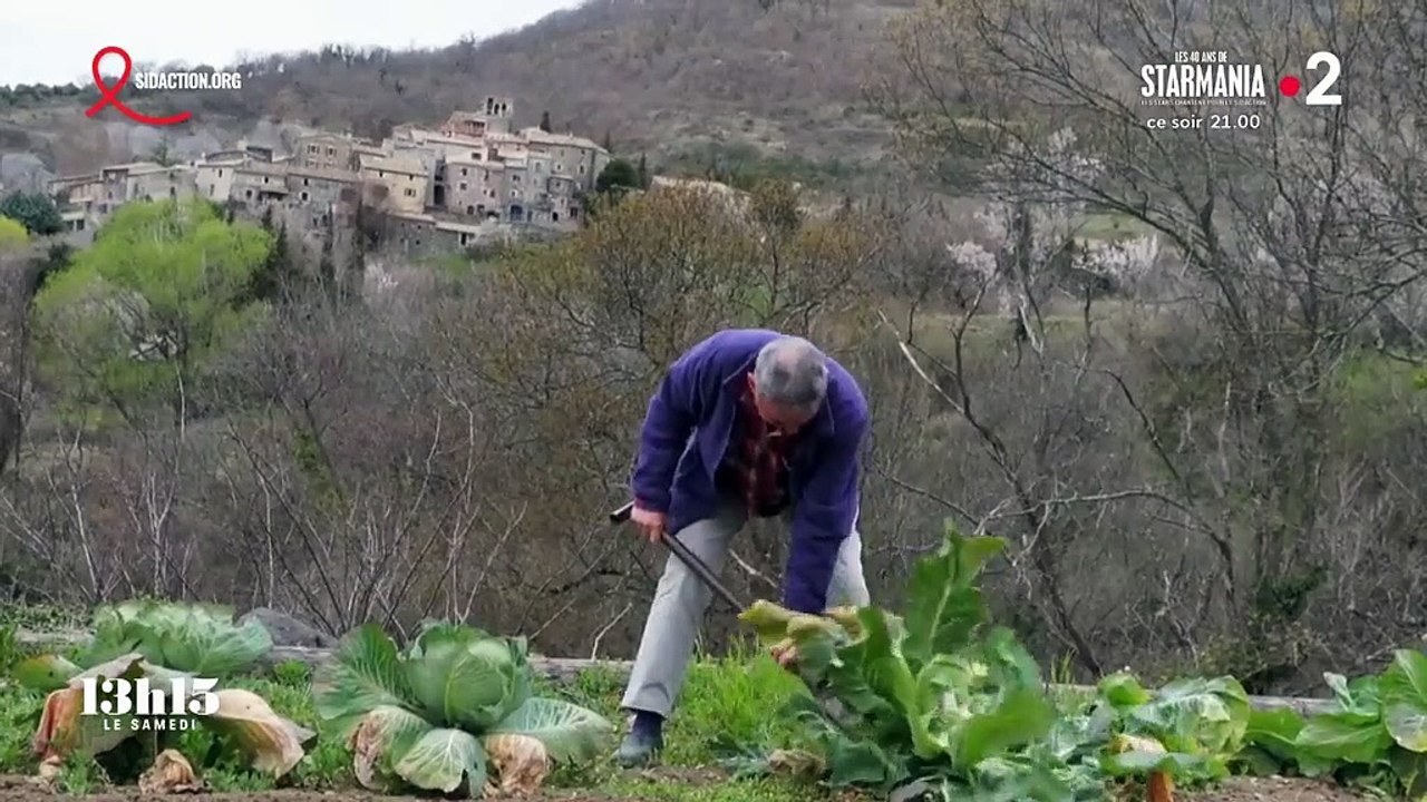 Petit boulot, gros budget essence, loyer trop cher... : la vie compliquée d'un "Tanguy" obligé de vivre chez ses parents