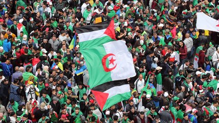 بالجمعة السابعة.. حراك الجزائر يصر على تحقيق كافة مطالبه
