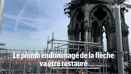 Le chantier unique au monde de Notre Dame de Paris