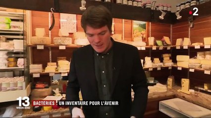 Alimentation : ces bactéries bénéfiques pour la santé