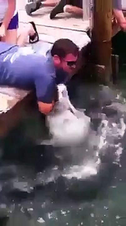 Adam mı balığı yakaladı balık mı adamı yakaladı