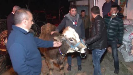 O Nineye Bir İnek de İş Adamından Geldi