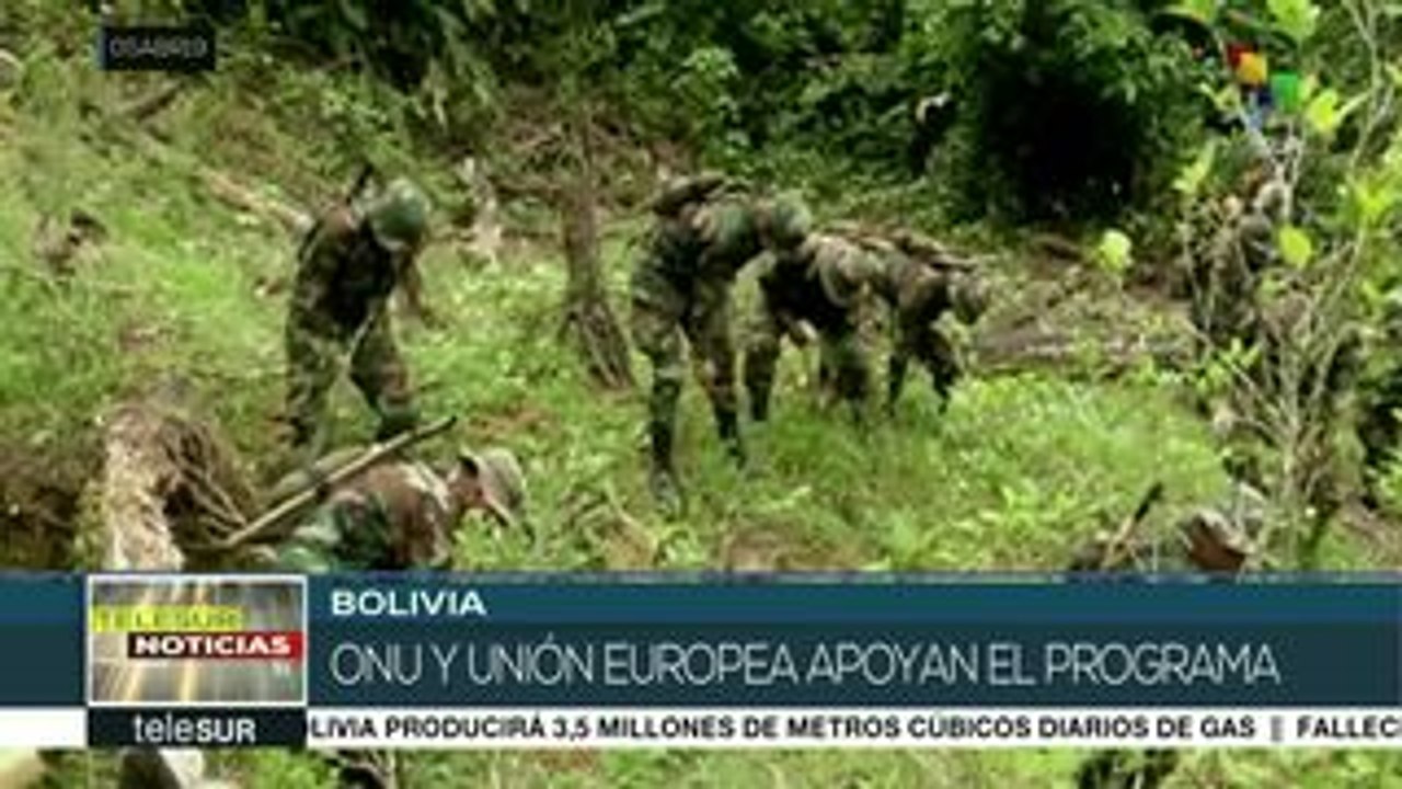 Bolivia:crean campamento móvil policial para lucha contra narcotráfico