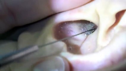 화순출장안마 #P# 후불100%ョ｛Ø7Ø↔7575↔0054카톡GD951｝화순전지역출장마사지화순출장안마화순출장마사지'만족ヮ출장모텔'출장만남출장모텔'출장만남