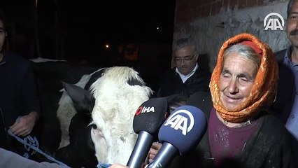İneği için gözyaşı döken kadına bakan hediyesi
