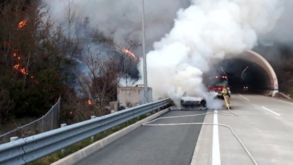 남해고속도로서 승용차 불, 야산으로 번져...50분 만에 진화 / YTN