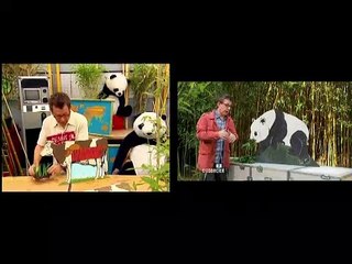 Jamy explique la digestion du Panda et de la Vache dans deux dimensions parallèles