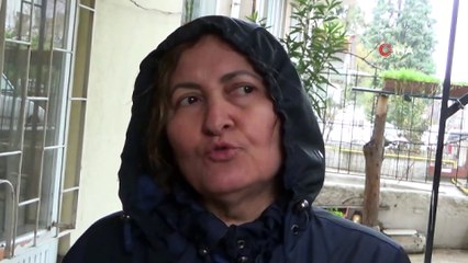 Çukura gömülü kedi ve köpek ölüleri bulundu