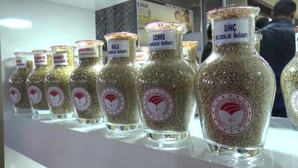 Tarım ve Hayvancılık Fuarı'nı 117 Bin Kişi Ziyaret Etti