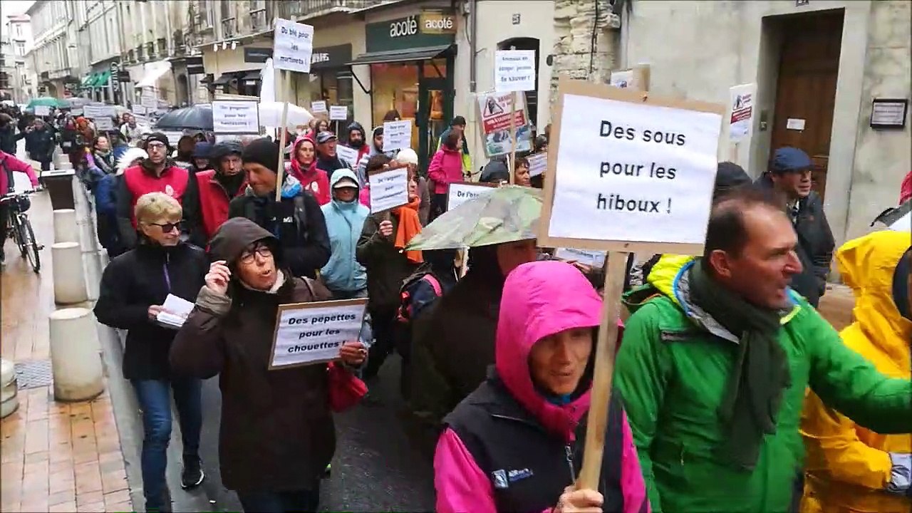 Avignon : 200 personnes marchent contre la fermeture du centre de sauvegarde de la faune de Buoux