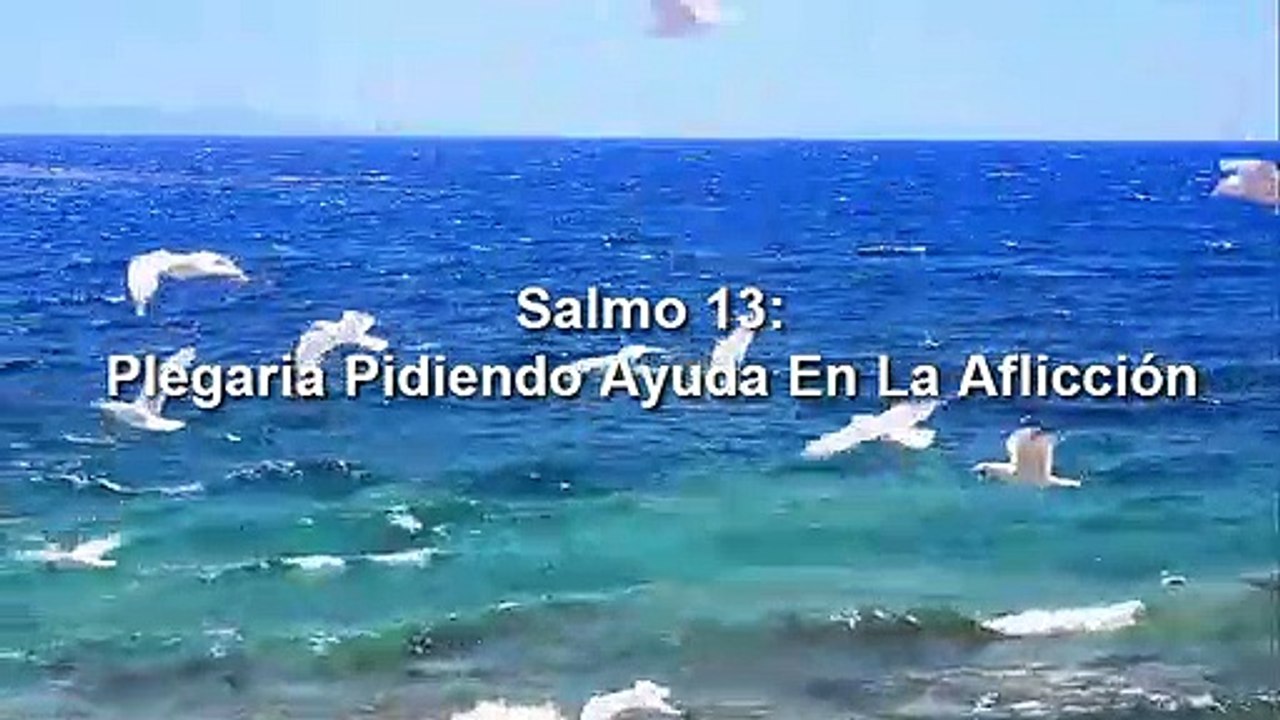 Salmo 13,Estudio,Enseñanza.Devocional.