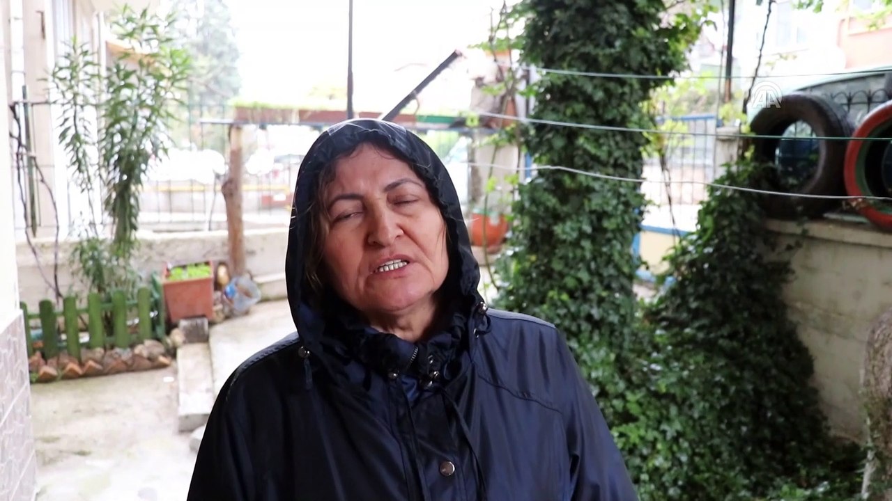 Burdur'da telef olmuş çok sayıda kedi ve köpek bulundu