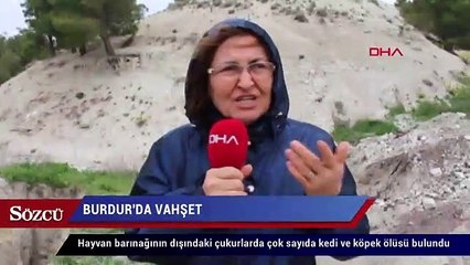 Burdur’da vahşet! Çukurlarda kedi ve köpek ölüleri çıktı