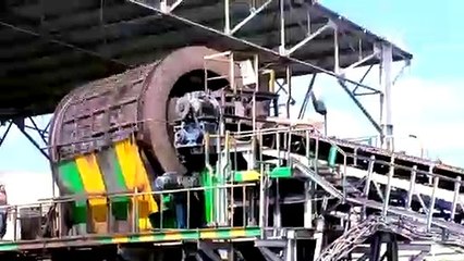 "التموين "تطلق مشروع تطوير مصانع بنجر السكر لزيادة معدلات الإنتاج