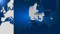 14 Personen festgenommen nach tödlicher Schießerei nahe Kopenhagen