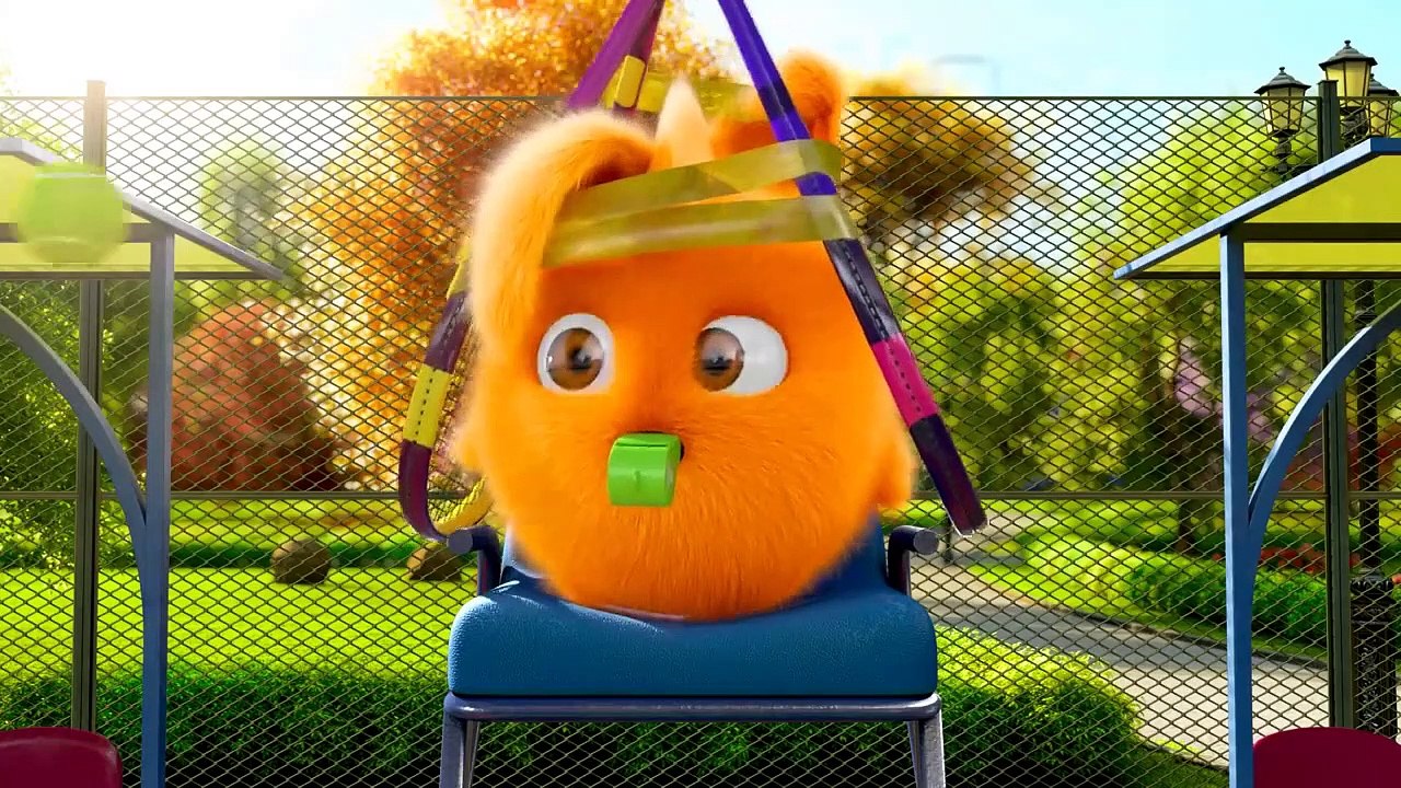 Videos For Kids | SUNNY BUNNIES HIDE AND SEEK | Funny Videos For Kids