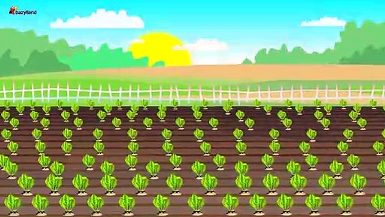 Farmer Works on farm | Tractor. Sugar betteraves | Agriculteur Travail sur le Rôle - machines agricoles Conte de la Betterave