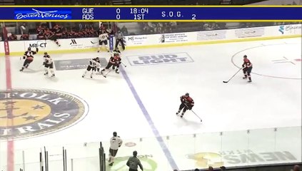 ECHL Greenville Swamp Rabbits 0 at Norfolk Admirals 2