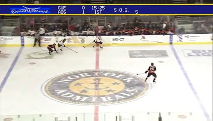 ECHL Greenville Swamp Rabbits 0 at Norfolk Admirals 2