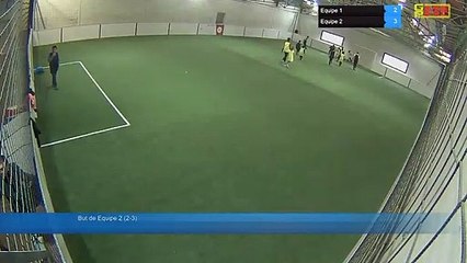 But de Equipe 2 (2-3) - Equipe 1 Vs Equipe 2 - 06/04/19 14:36 - Loisir Poitiers - Poitiers Game Parc