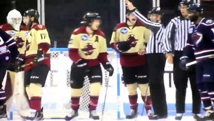 ECHL Atlanta Gladiators 2 at South Carolina Stingrays 3