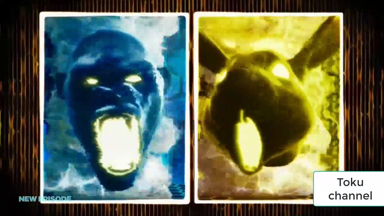 power rangers beast morphers animals