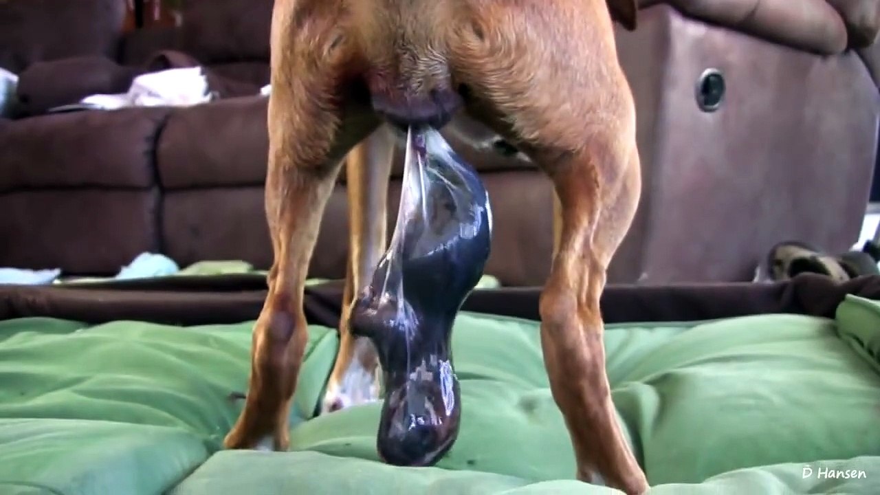 Amazing Birth While Standing!!