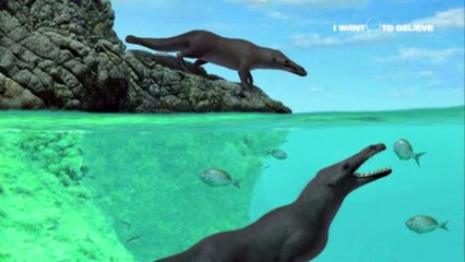 Ancient whale with legs discovered in Peru