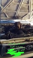 Monkey fixing motor engine