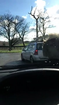Mono roba limpiaparabrisas de un coche en marcha