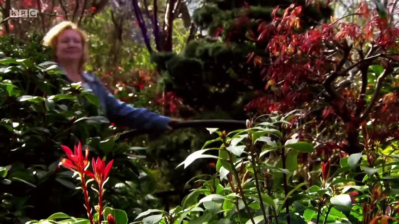 Garden Rescue episode 17 2018 video Dailymotion