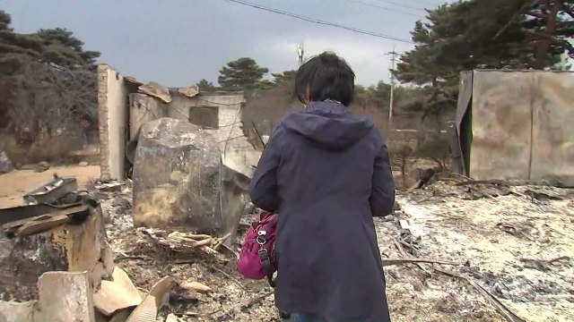 특별재난지역 선포됐다지만...여전히 미흡한 대책 / YTN