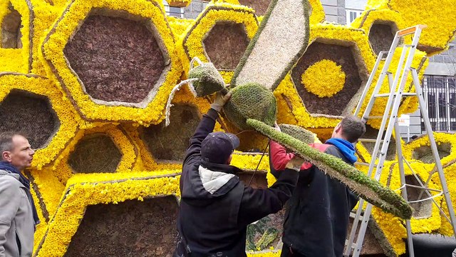 Dernières retouches sur les chars de la Fête des Jonquilles avant le corso fleuri
