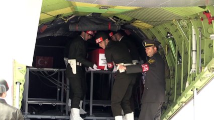Yayladağı'nda şehit olan Piyade Er Mehmet Kaya'nın cenazesi Siirt'e getirildi