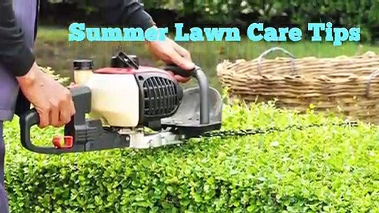 Summer_Lawn_Care_Tips