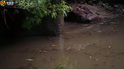 313 언양오피∥CHO밤.COM∥언양안마∥【조밤】 언양스파∥언양안마사이트