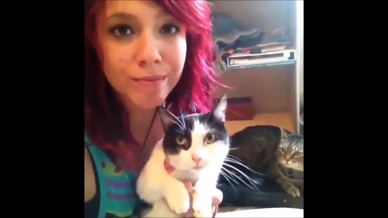 Cat fail compilation full- 2018-2019  Funny