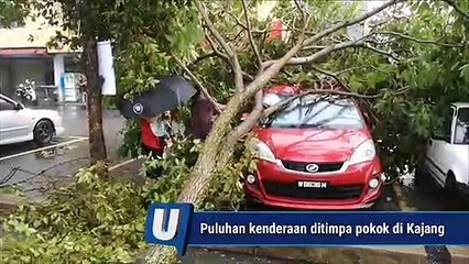 Puluhan kenderaan rosak ditimpa pokok