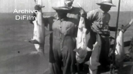 La pesca del tiburon - Shark fishing 1925