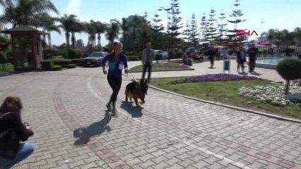 Adana Adana'da Karnaval Coşkusu