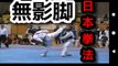 Nippon Kempo vs Self Defense Force Martial Arts　Digest