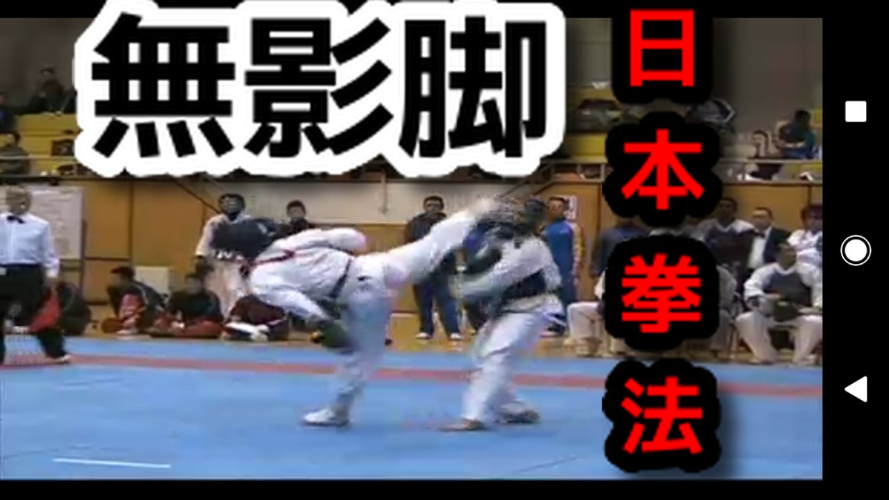 Nippon Kempo vs Self Defense Force Martial Arts　Digest
